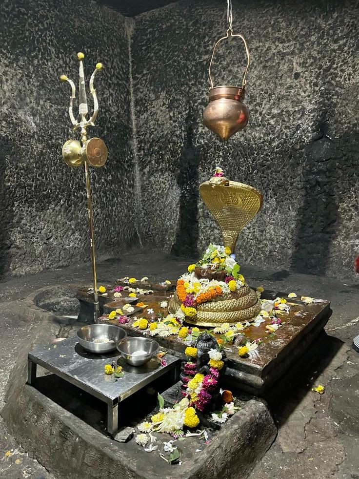 Vaishali Pandit tweet media