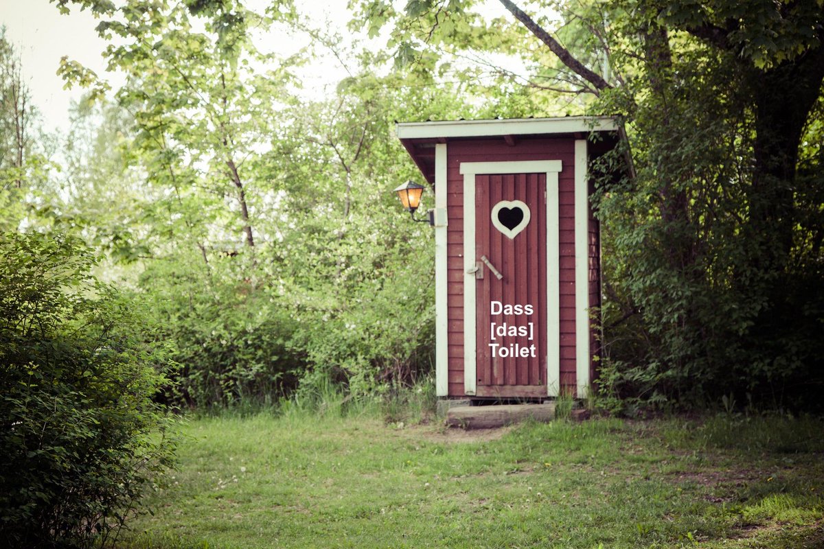 SpeakSwedish's tweet photo. #Swedish slang of the month: #Dass (toilet) is most commonly used for outhouses (dry toilets), called "utedass" but can be used for a normal WC as well.
#utedass https://t.co/suGLSSvP5C