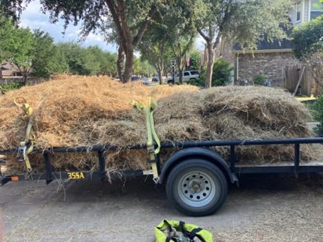 SFAgentForrest's tweet image. Were just about ready to rock and roll for Teal Season!!  How are your preparations going? #TealSeason #HuntingPrep #WaterfowlHunting #OutdoorLife #HuntingSeason #DuckHunting #HuntingCommunity #HuntingLife #HuntingAdventures #ForrestCobbSF