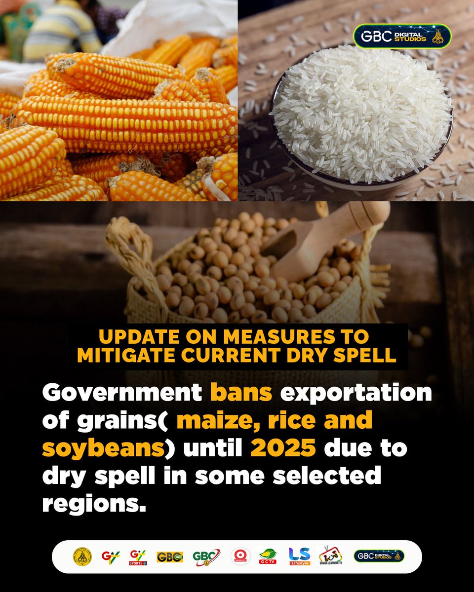 GTV_Ghana's tweet image. Government bans exportation of grains( maize, rice and soybeans) until 2025 due to dry spell in some selected regions 

#ClimateTalks
#climateChange2024
#MinistryFoodandAgriculture