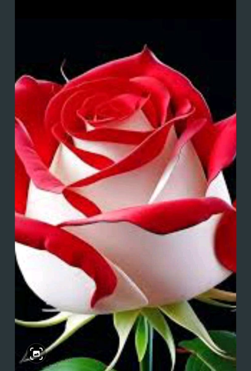 28Chucky's tweet photo. @samina1snd https://t.co/bN8kssVFGL