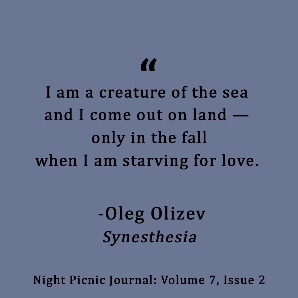 #olegolizev #nightpicnic #literature #poetry #quoteoftheday