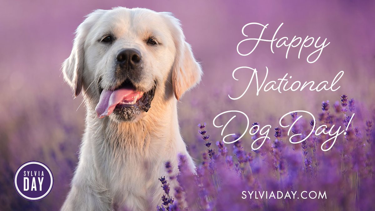SylDay's tweet image. "Dogs are not our whole life, but they make our lives whole." 🥰
~ Roger Caras

Happy National Dog DAY! 

#DogTwitter
