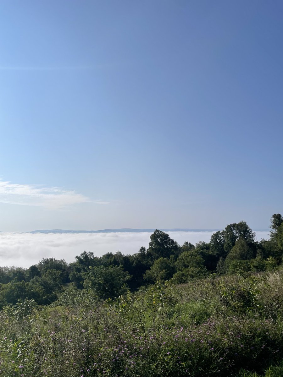 A great mountain bike ride this morning and a good reminder for the week ahead. Sometimes you have to push through the fog to get above the clouds.
