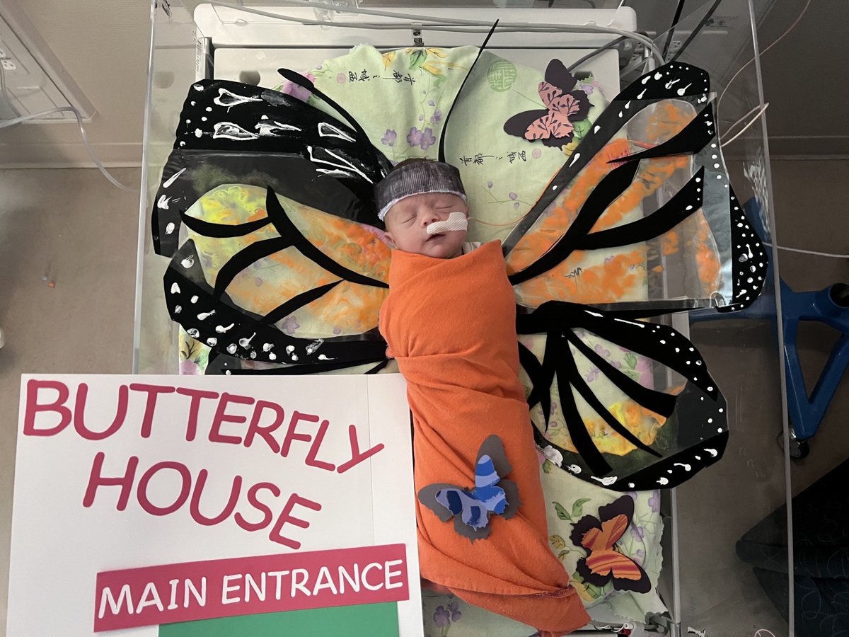 Fair fun!🎡🌽🐄🌭 Babies from the <a href="/childrensmn/">Children's Minnesota</a> NICU at Mercy are celebrating the @MNStateFair by dressing up as some fair staples!

Thanks to the neonatal team for providing expert care while also bringing this experience to patient families.💛