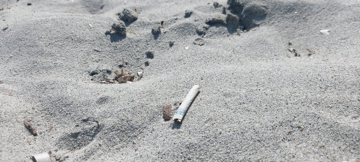 DarkDenic's tweet image. Cosa trovi vicino a te al mare? #sigarette