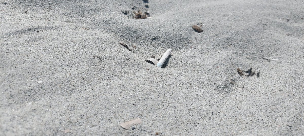 DarkDenic's tweet image. Cosa trovi vicino a te al mare? #sigarette