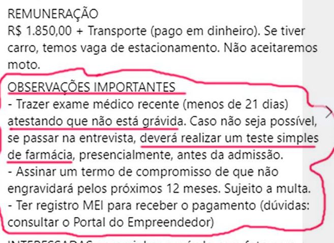 IT Recruiter do fim do mundo tweet media