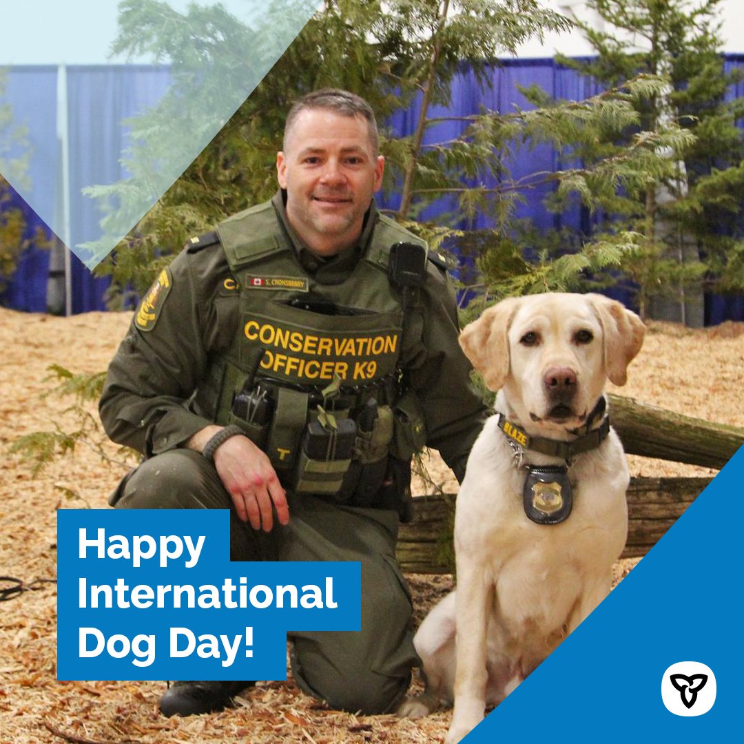 Ontario Ministry of Natural Resources tweet media