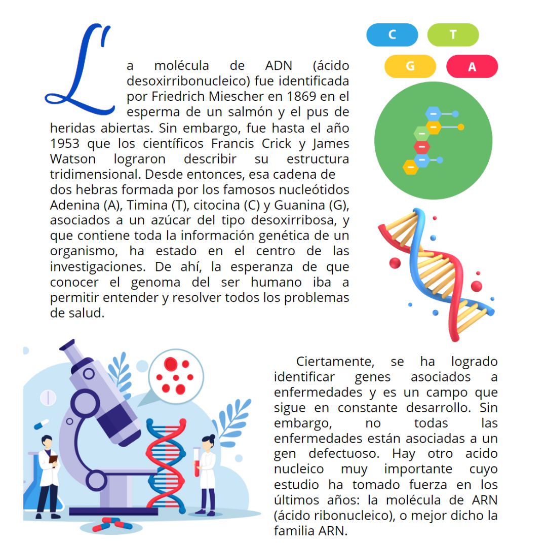 Revista_CyN's tweet photo. El ARN es la estrella en la producción de proteínas y la regulación genética. 🧬 🌟 ¡Un proceso clave que impulsa la vida y abre puertas a nuevas terapias! 💡✨ 
Revista 🚀 Ciencia y Naturaleza 🍀 #RevistaCyN #Divulgación #Difusión #Leer+
👉 https://t.co/OlaGBsA9l0 https://t.co/A41WEVsqgf