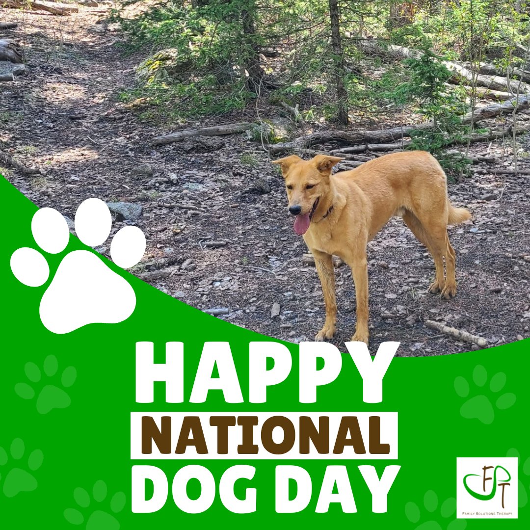TroyLmft's tweet photo. Happy National Dog Day from our team and our in-house therapy dog, Cayde! Just like Cayde, we're here to offer comfort, support, and a listening ear as you navigate life's most challenging transitions. Come meet Cayde and let him remind you of the healing power of connection. https://t.co/3hrNtpj80G