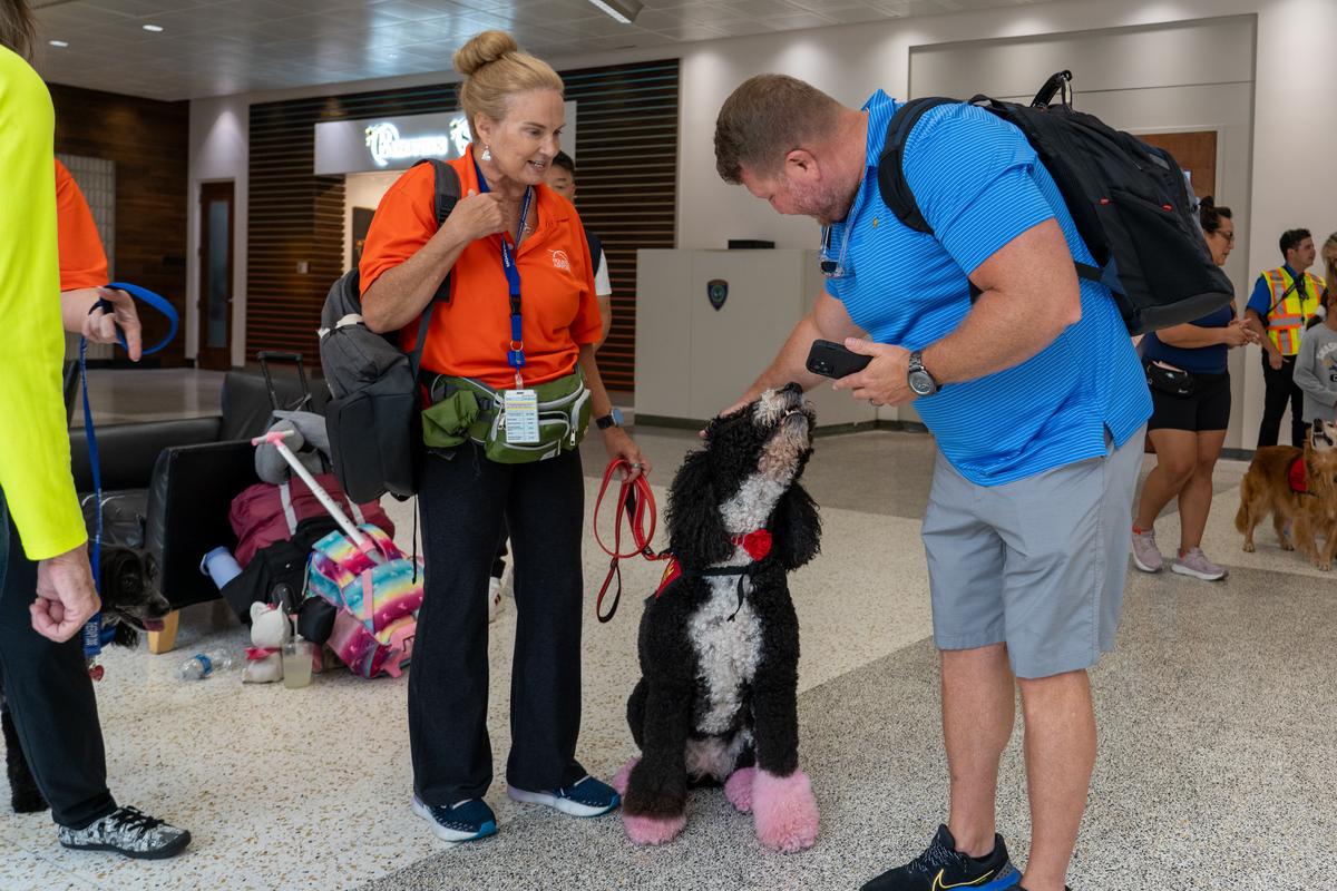 iah's tweet photo. On #NationalDogDay, we are proud to recognize our great therapy dogs for always bringing a smile to our travelers’ faces.

The #IAHTherapyDogs are an important part of our mighty team. And while not all our doggies are in the picture, we appreciate all of them 🫶 https://t.co/1eO9vTVokx