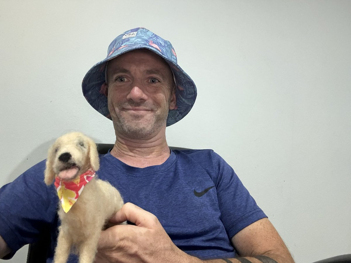 Niall Harbison tweet media