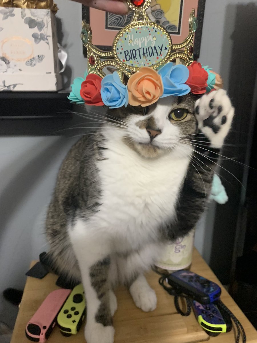 It’s my birthday, but Onion wanted to try on the crown.