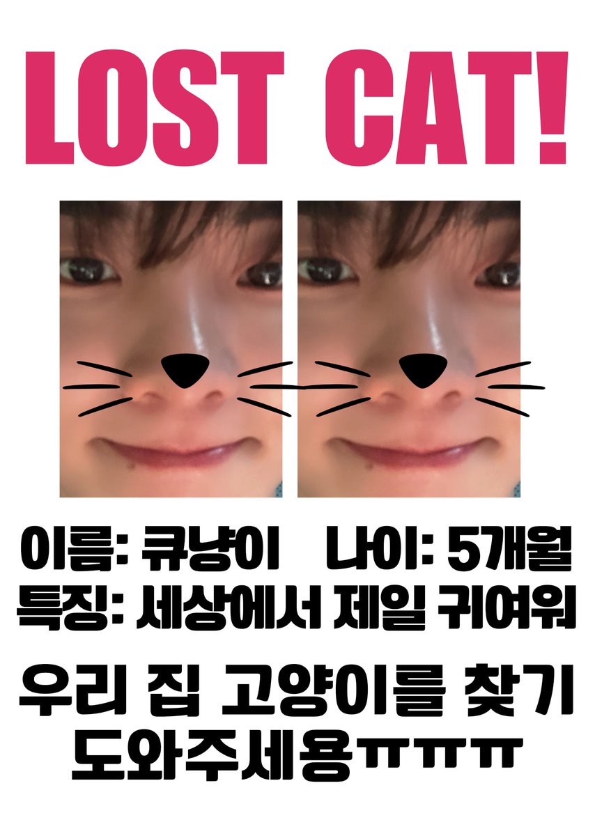 kyukecil's tweet image. 