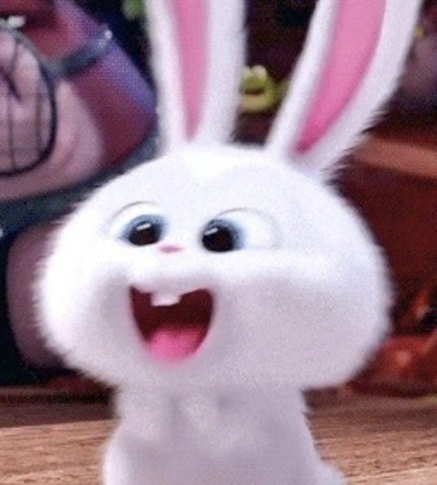 깍이 (@kimkolkak) on Twitter photo 