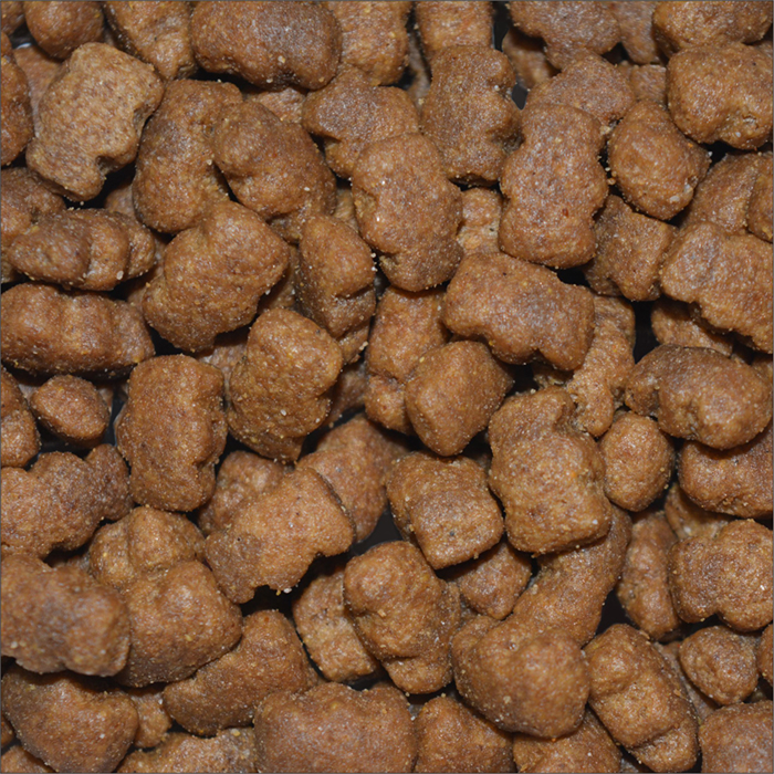 thecarnivorebar's tweet image. Your dog shouldn't be eating kibble.

Modern dog food is filled with seed oils, fortified vitamins, and other additives they don't need.

Like humans, dogs thrive on REAL animal-based foods.

Make dog food real again.