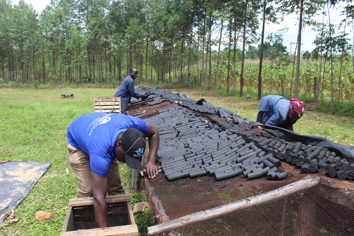 eco2libriumllc's tweet image. #Briquettes provide a consistent burn time &amp;amp; heat output, Easy to store &amp;amp; handle, Generally cheaper than other fuel sources, Utilizing waste materials for production helps reduce waste &amp;amp; promotes recycling. Order now on 0710796519 /0741933506. Free #delivery within #Kakamega town