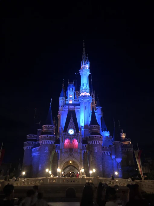 15年ぶりのディズニー、園内全制覇してた20代とは違って大人な周り方で堪能してきたBGMが流れてるスピーカーが目立たないような工夫されてたり、至る所に細かい配慮されてて感動〜あと美女と野獣は普通に泣いた 