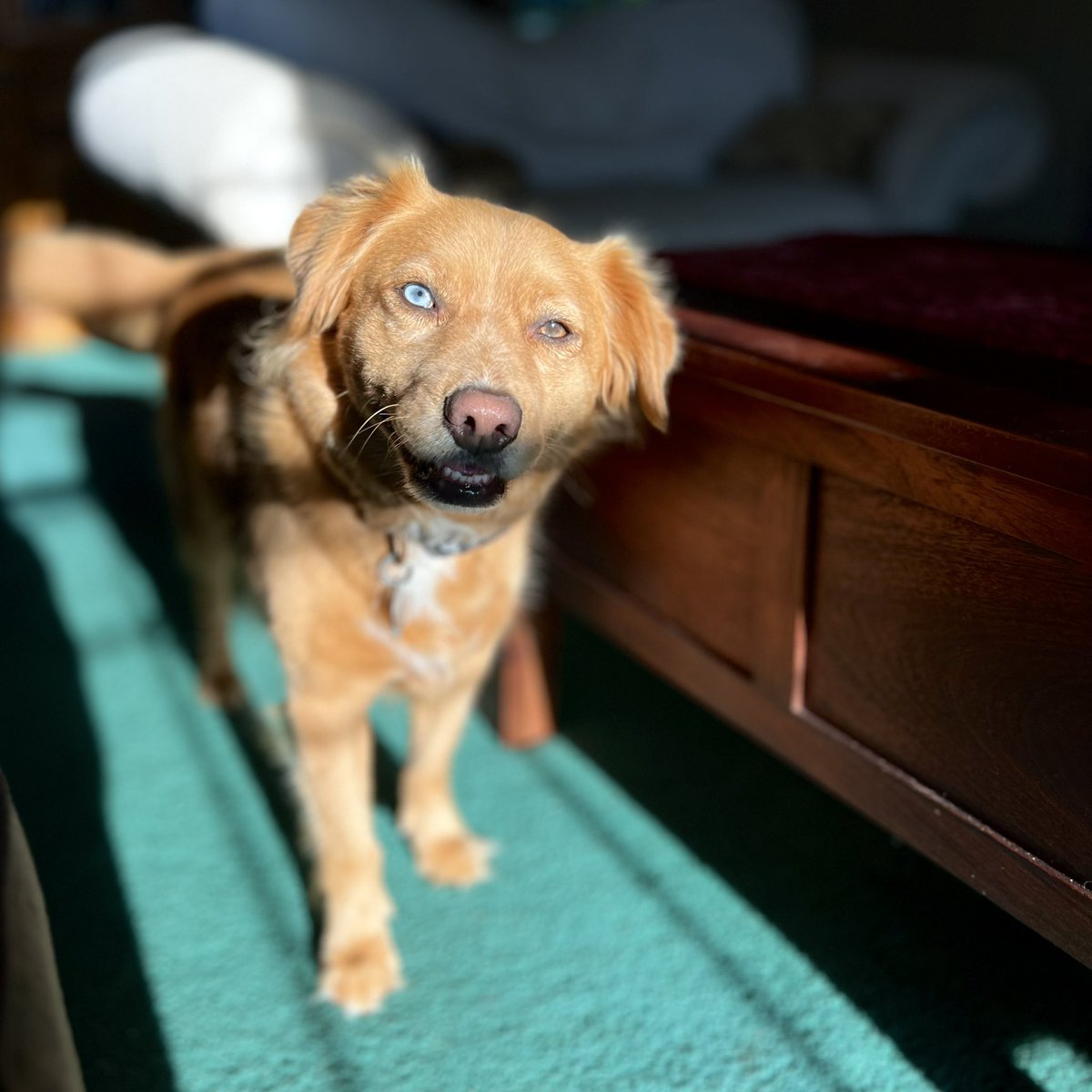 Well hello friends! Looking forward to hearing all about your adventures this weekend!