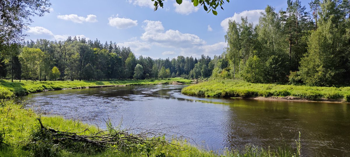 RestorMine tweet media