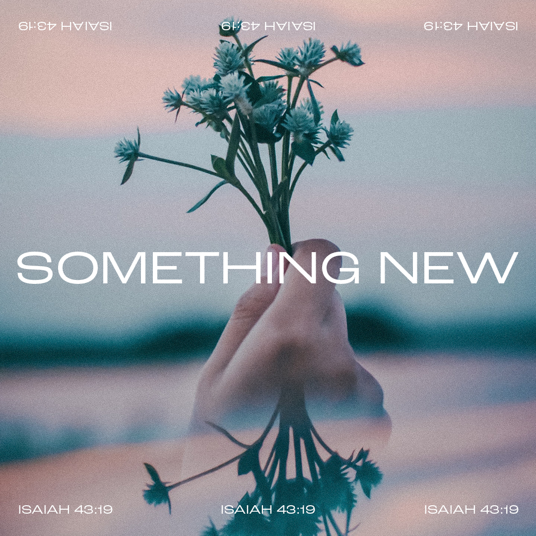 Daniel Maritz tweet media