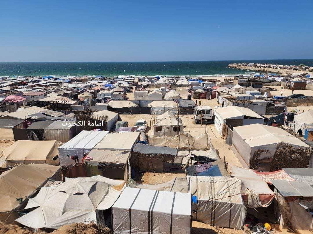 الهاربون من الموت!
هنا لحمنا المطبوخ بملح البحر وحرارة الصيف وهبو الخيم
#غزه_تموت_جوعاً
#امطار_الكويت