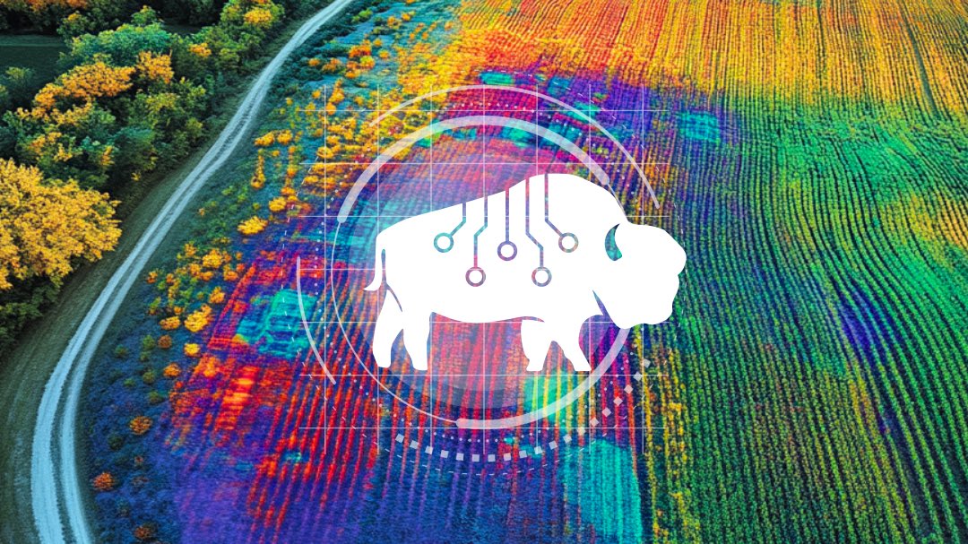 bison_datalabs's tweet image. 🌱 Data is essential, but only if collected right. 

Check out our most recent article on how to apply the 4Rs in agricultural data collection. 

🔗 bisondatalabs.com/post/data-harv…

#datacollection #bisondatalabs