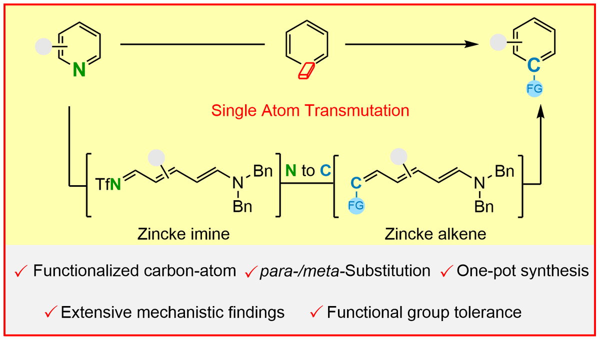GloriusFrank's tweet photo. Skeletal editing: 
Nitrogen-to-Functionalized Carbon Atom Transmutation of Pyridine
Just published in @ChemicalScience by @GloriusGroup in collaboration with Osvaldo @Gutierrez_Lab👏👏
https://t.co/G1A9V7FoOt https://t.co/LizU5BLW8G