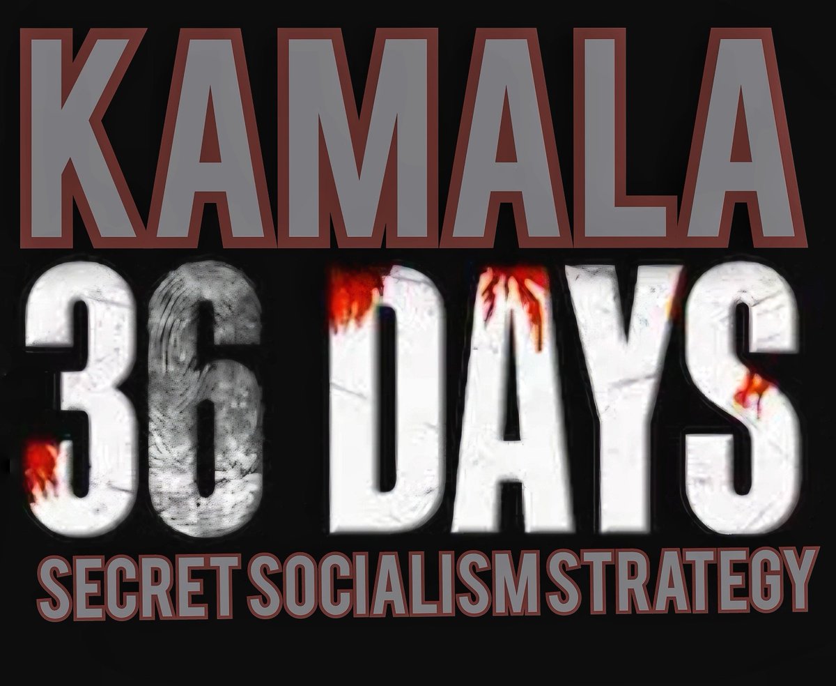 revsean68's tweet image. 36 Days pushing her secret socialist agenda. The &quot;quiet&quot; campaign of #KamalaHarris #bidenbasementstrategy #hiddenagenda @dbongino @elonmusk