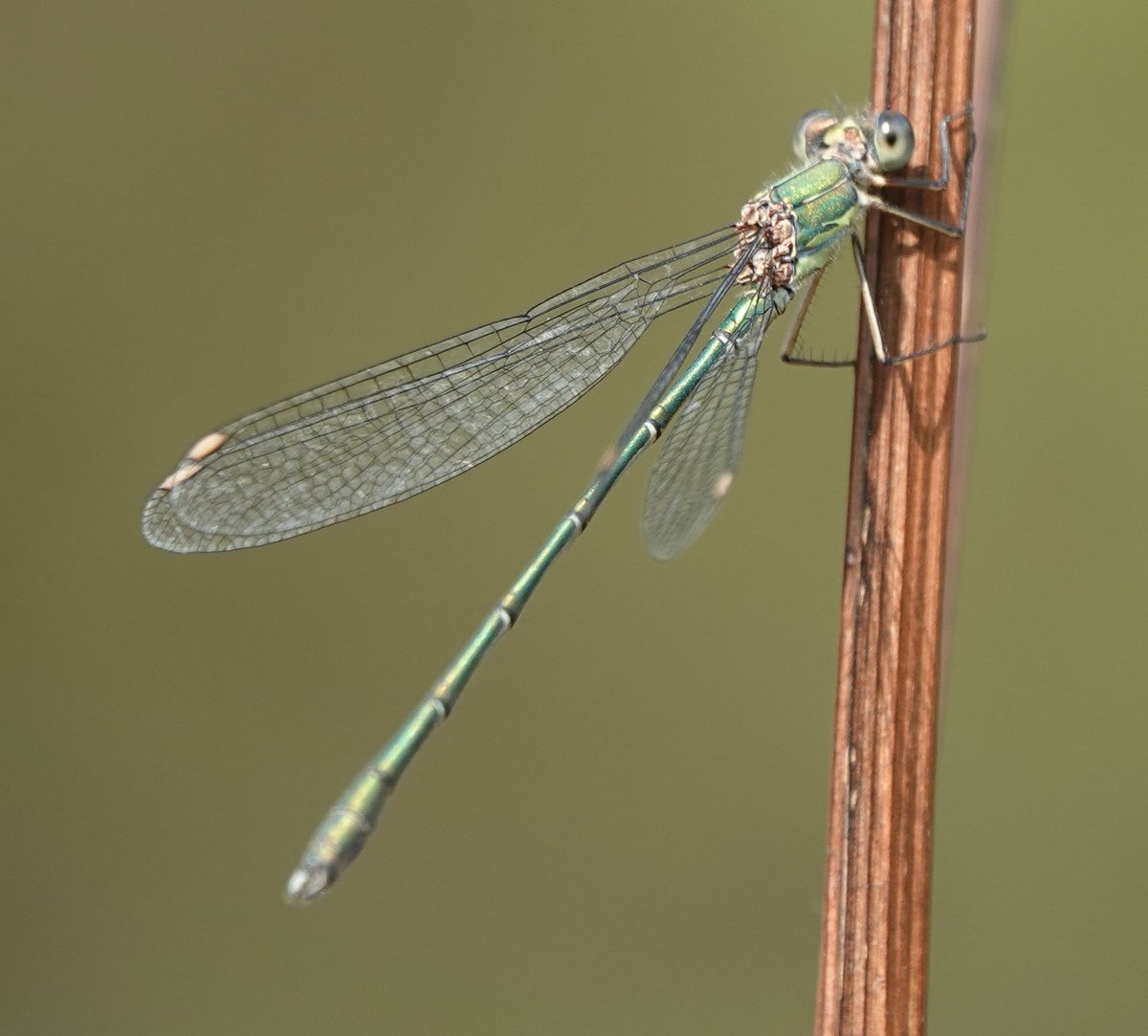 Martin Pitt tweet media