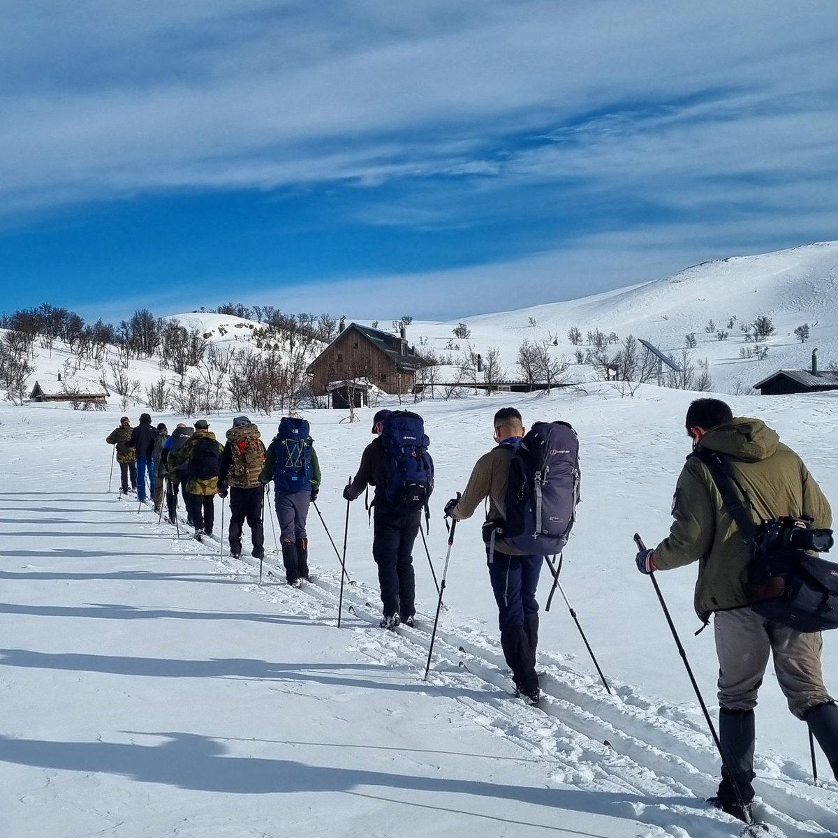 Primal Bushcraft Survival tweet media