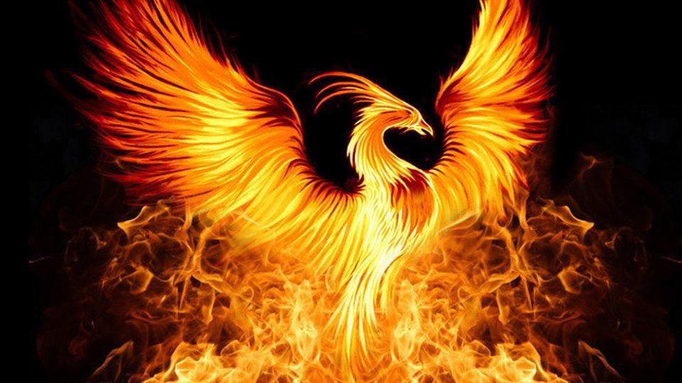 rtcrunr's tweet photo. Time to start fall training and what I’m calling Project Phoenix Reboot. Phase I: build a base and work on my weaknesses, mainly my right achilles and hamstrings. Long way to go but ready to rise from the ashes! #running #mastersrunning https://t.co/qwhkVhEzJi