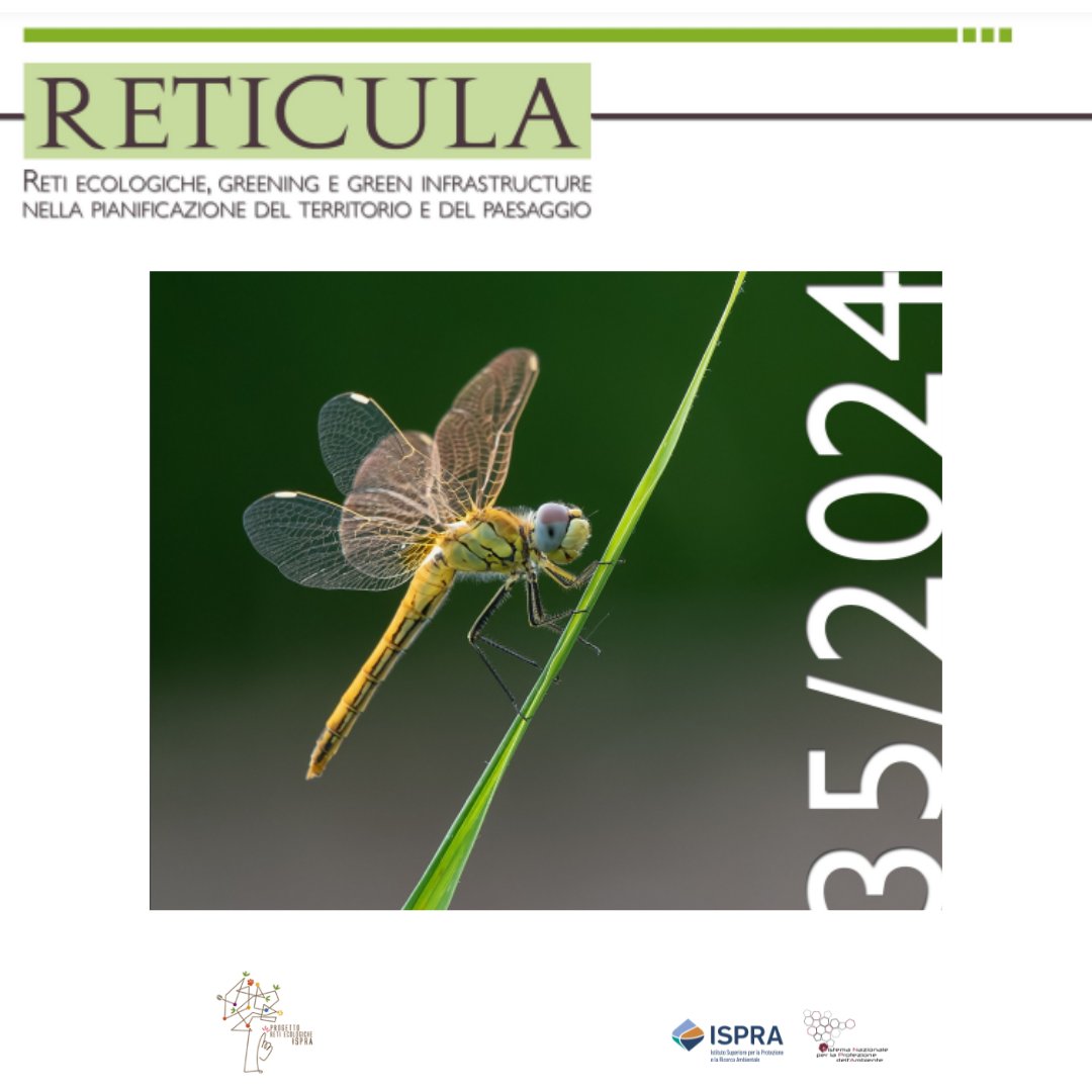 ISPRA_Press's tweet photo. 📒Online il nuovo numero di #RETICULA, la rivista tecnico-scientifica di ISPRA. Tra i temi trattati:
🤖 #AI e gestione del verde 
 🌳 Monitoraggio dei boschi: telerilevamento e #citizenscience 
🇪🇺 La connettività ecologica nella politica agricola #E 

🔗 https://t.co/wPaXC4GyJ8 https://t.co/G24HUpVoNk
