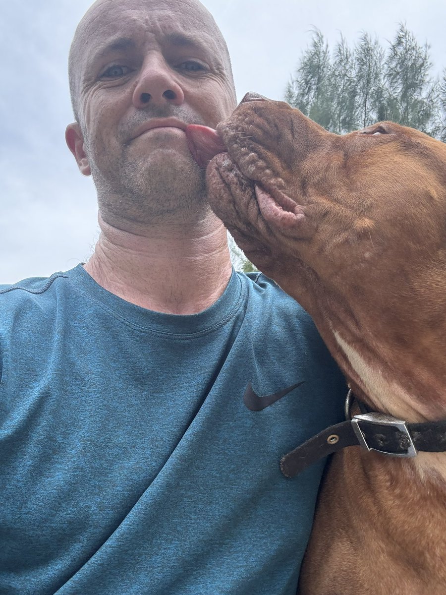This was Hank trying to cheer me up this week. I share a lot more openly and lots of happy dog stories on my insta. 

A follow there would be massively appreciated instagram.com/niall.harbison 🙏🥰