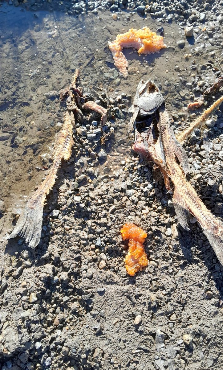 Ministerio de la Producción, Comercio e Industria tweet media