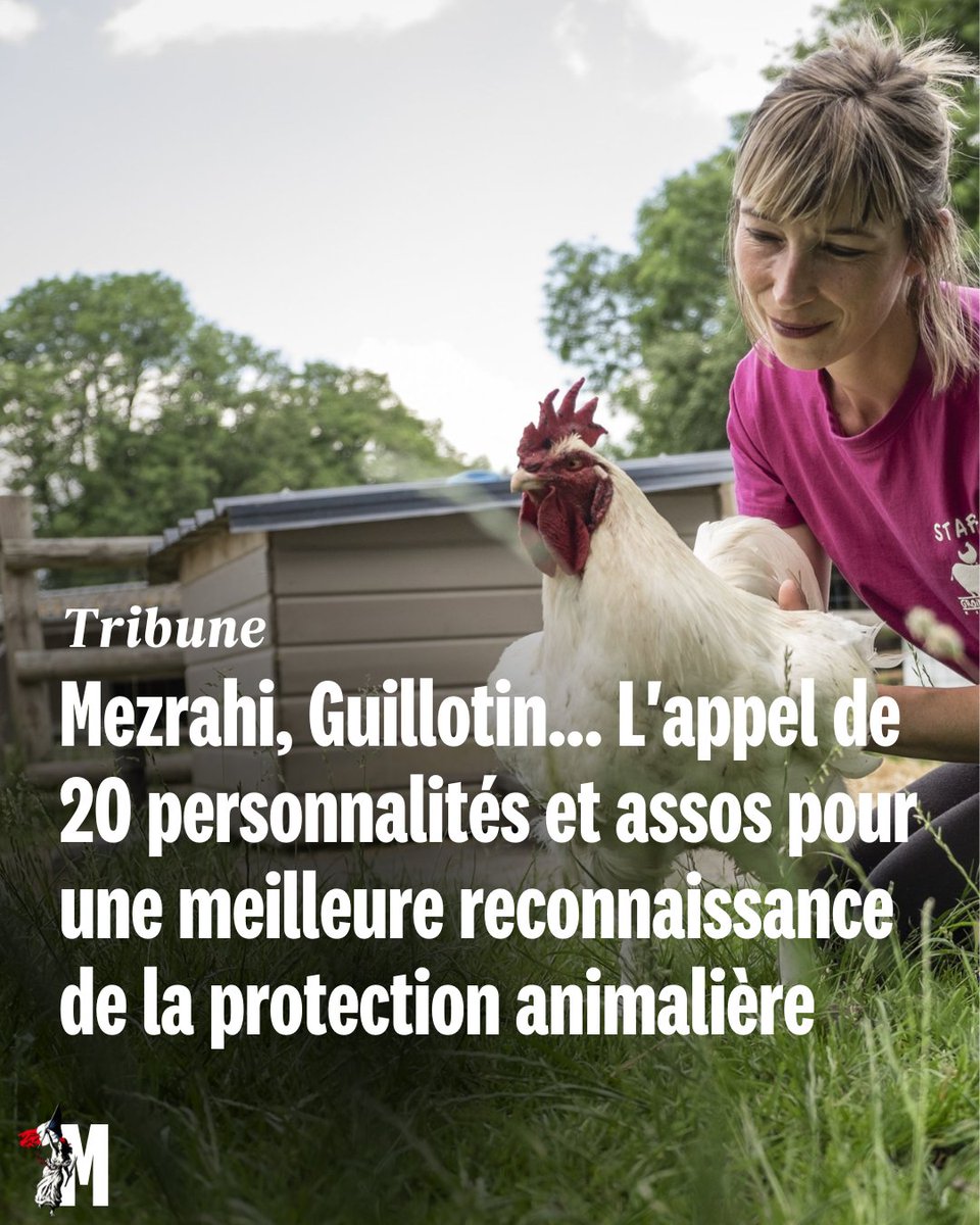 MarianneleMag's tweet photo. ✍️ Tribune. "Actuellement, le cadre légal en France ne reconnaît pas pleinement le rôle des enquêteurs bénévoles" : l'ensemble des signataires appelle le gouvernement à prendre des mesures pour soutenir leur travail.
https://t.co/qPLRKro92i https://t.co/QEsSjG4eo0