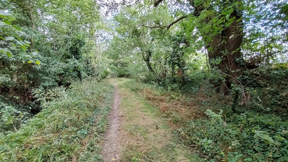 Another new #Essex #SlowWays to enjoy, from #ChippingOngar to #Sawbridgeworth. This version, SawChi 2, has Pole Lane (a holloway), pubs, pooh-sticks, red kites, narrowboats and benches,  beta.slowways.org/Route/Sawchi/1… <a href="/sunkenlanes/">Holloways & Sunken Lanes</a>