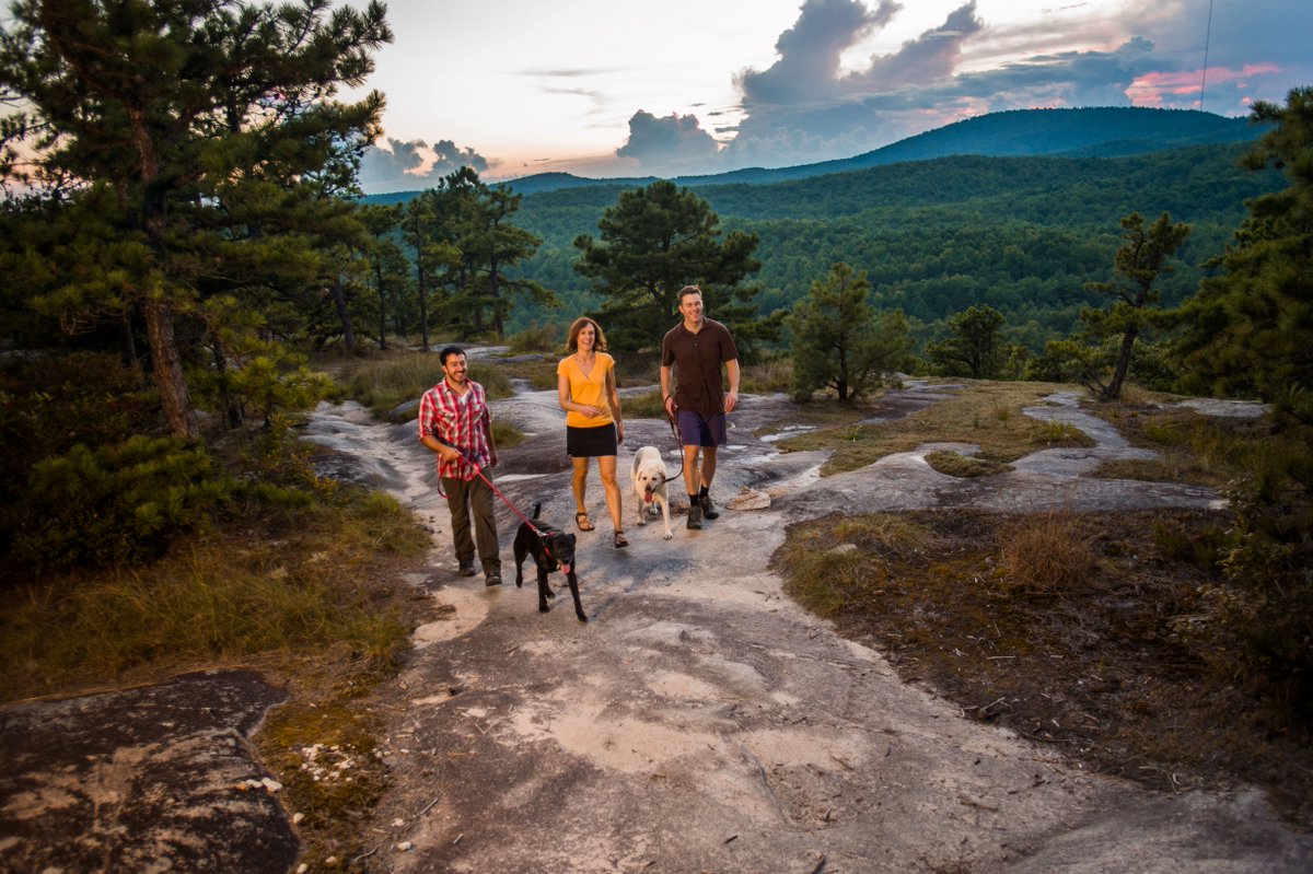Happy #NationalDogDay! Furry friends make the best trail buddies. Before your next adventure, check out our top tips to keep tails wagging safely in Transylvania County and beyond! Click the link: vist.ly/3gz8i 🐾🐕‍🦺
#explorebrevard #dogsofinstagram #hikingwithdogs