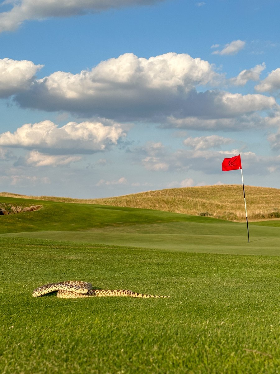 Rennermbrett's tweet photo. Who needs to update their phone wallpapers? 🤳

@theprairieclub brought the views, so look no more. 🔥 https://t.co/lBofhGSY7f