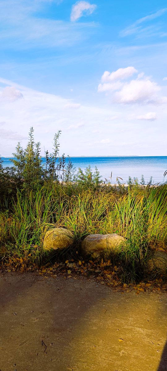 Herbst Stimmung.🍂