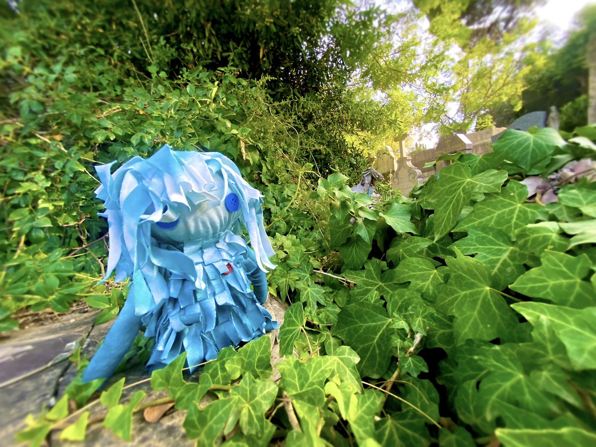 Kounn_Sc's tweet photo. Esprit du jardin.

Peluche de 11cm x 22cm x 10cm https://t.co/xLPzlelT8K