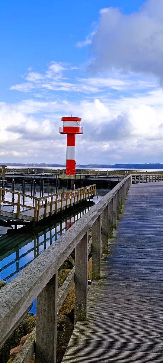 Corinne (@stellastern2024) on Twitter photo 