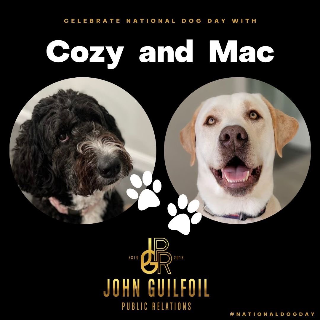 GuilfoilPR's tweet image. Celebrating #nationaldogday with Cozy and Mac, our JGPR support staff! 🐶🐾
 #jgpr #officedogs #mrmacthelab