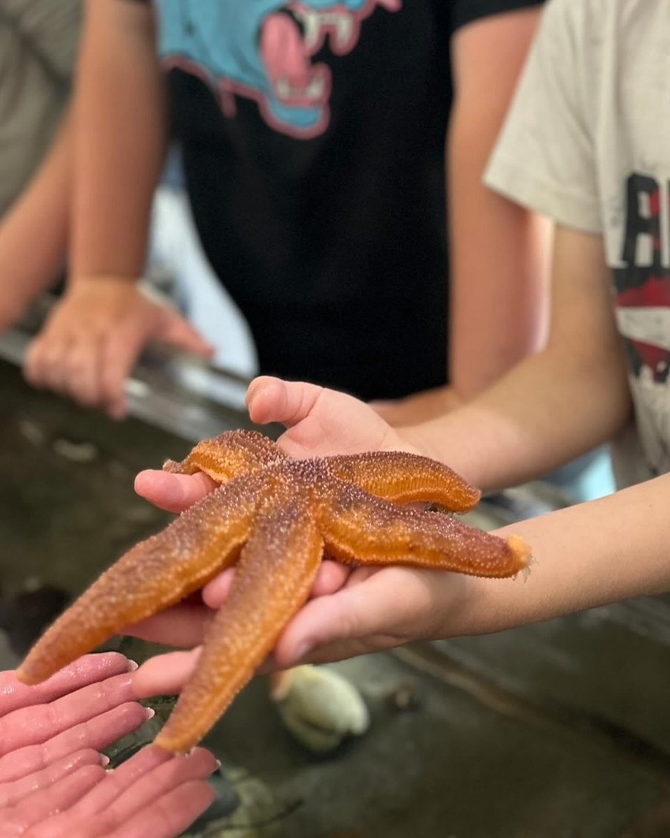 DT_Dartmouth's tweet photo. Learn how to make a pinch pot &amp; explore the touch tanks at @BacktotheSea_NS. This Wed from 6:30-8:30pm, Micaila from Coastal Ceramics is leading a pottery workshop! It’s a great opportunity to explore the Centre before it closes for the season. 

Register https://t.co/HM2Pm6rLRz https://t.co/96E6czIpYn