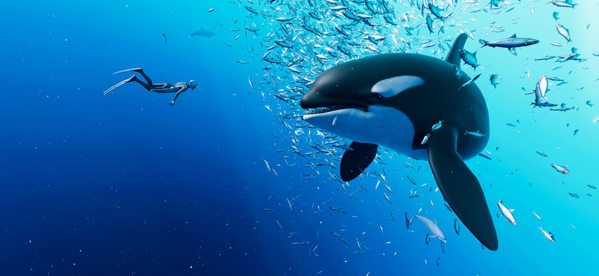 FabledPilgrim's tweet photo. Meeting Orca.

@BeyondBlueGame #BeyondBluePhotoMode

@vpcontext @VPBooth @marty_merrick #VPCONTEXT #ArtisticofSociety #VirtualPhotography #VGPUnite #VPGamers #VPRT #ThePhotoMode https://t.co/6a4DRhAg6w
