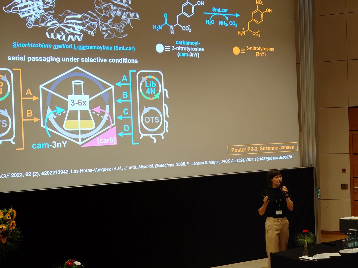 Just gave a ⚡lightning talk⚡ at #biocat2024 about our (continuous) evolution platform! If you missed me at poster P2-3 just now, don't hesitate to approach me later anyway and talk science with me! Cheers and see you around. 😎🥂