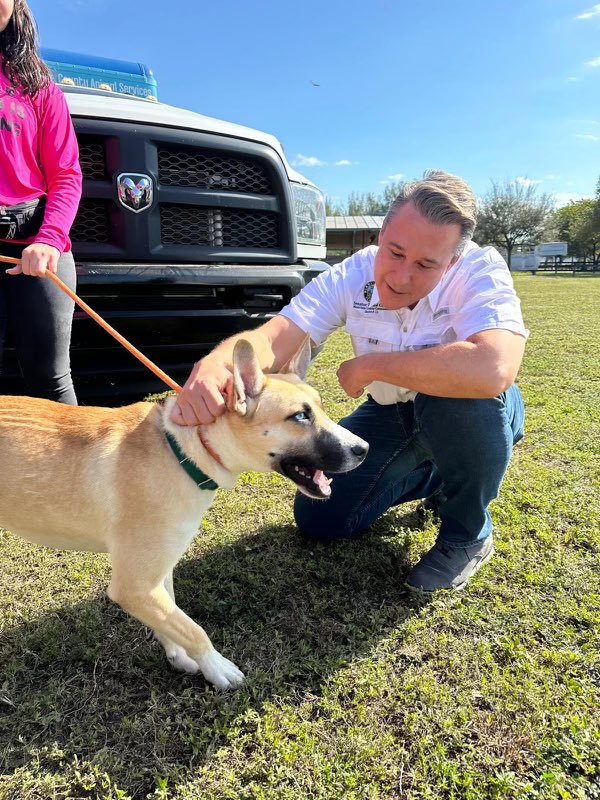 SenReneGarciaFL's tweet photo. 🐾 Happy National Dog Day! 🐾
Today, we celebrate our dogs—not just as pets, but members of our families and our best friends. Their unconditional love and loyalty make our lives richer every day. Let’s give them some extra love today!
#NationalDogDay #OneMiamiDade #RG13 https://t.co/qGLLX47NmD