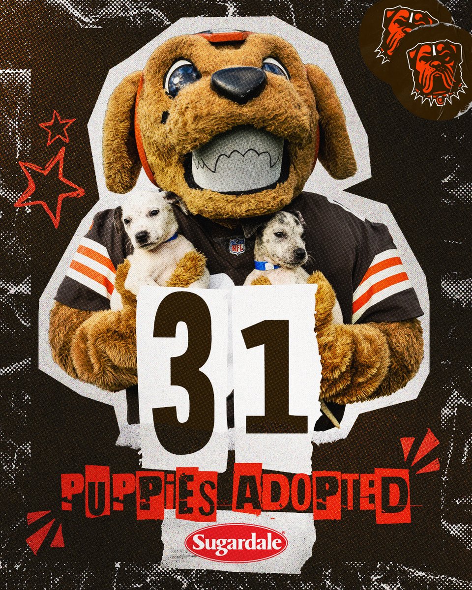 31 puppies found their forever homes over the course of training camp! Sending a massive thanks to every single person that adopted at #PuppyPound, presented by <a href="/SugardaleFoods/">Sugardale Foods</a>!