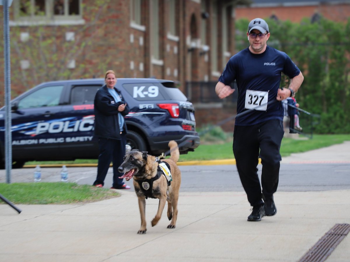 RunAlbion's tweet photo. Happy #NationalDogDay! 🐶 Did you know well-behaved trained-leash pups can be your running buddy at any Run Albion race? https://t.co/sLHyk7DOLO